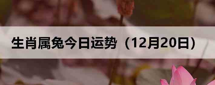 ��Ф���ý������ƣ�12��20�գ�