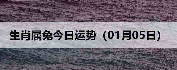 ��Ф���ý������ƣ�01��05�գ�