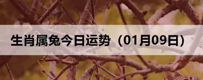 ��Ф���ý������ƣ�01��09�գ�