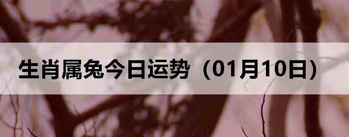 ��Ф���ý������ƣ�01��10�գ�