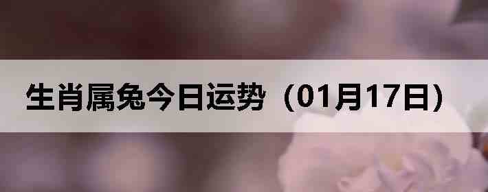 ��Ф���ý������ƣ�01��17�գ�