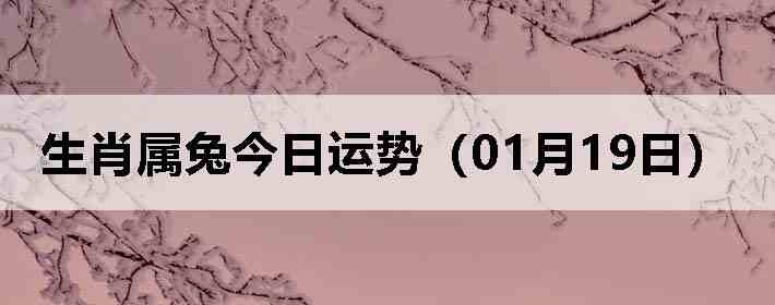 ��Ф���ý������ƣ�01��19�գ�