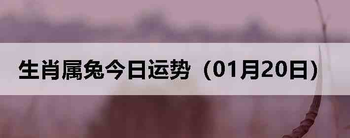 ��Ф���ý������ƣ�01��20�գ�