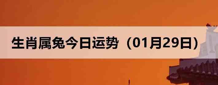 ��Ф���ý������ƣ�01��29�գ�