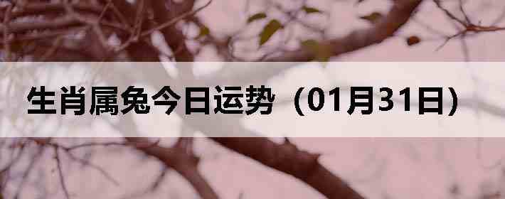 ��Ф���ý������ƣ�01��31�գ�