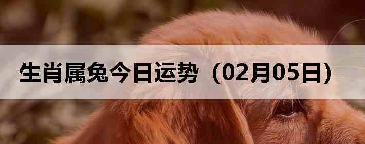 ��Ф���ý������ƣ�02��05�գ�