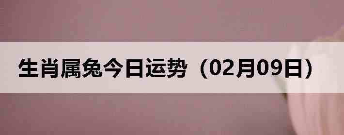 ��Ф���ý������ƣ�02��09�գ�