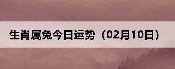 ��Ф���ý������ƣ�02��10�գ�