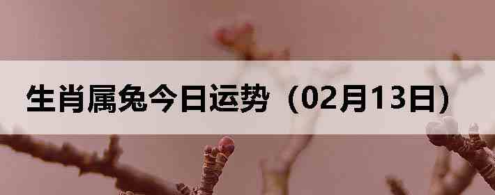 ��Ф���ý������ƣ�02��13�գ�