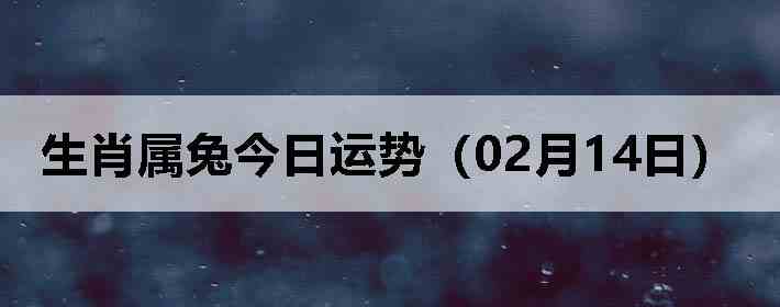 ��Ф���ý������ƣ�02��14�գ�