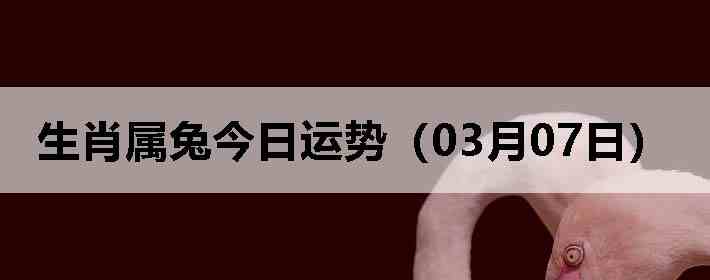 ��Ф���ý������ƣ�03��07�գ�