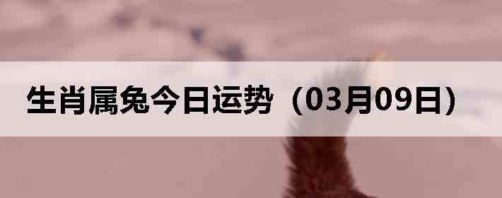 ��Ф���ý������ƣ�03��09�գ�