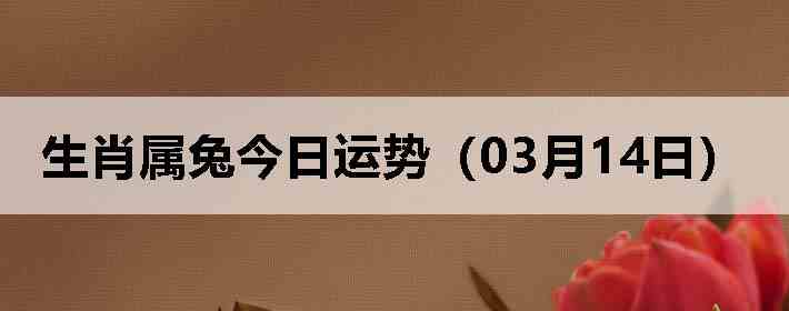 ��Ф���ý������ƣ�03��14�գ�