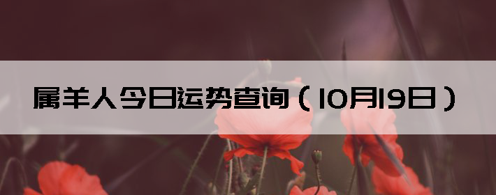 ˽Ʋѯ1019գ