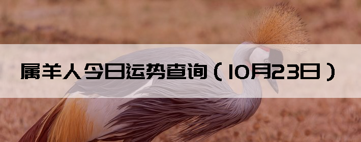 ˽Ʋѯ1023գ