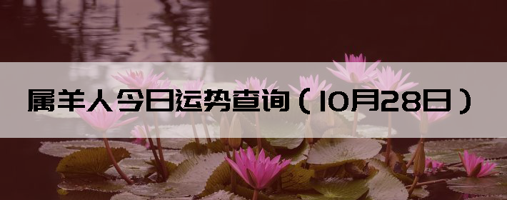 ˽Ʋѯ1028գ