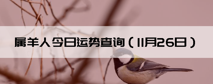 ˽Ʋѯ1126գ
