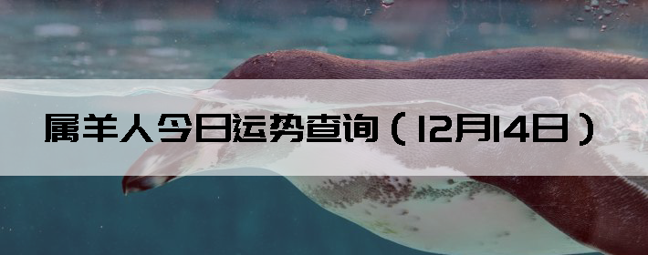 Фƣ1214գ