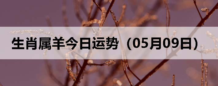 Фƣ0509գ