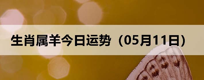 Фƣ0511գ