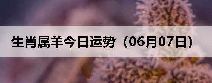 Фƣ0607գ