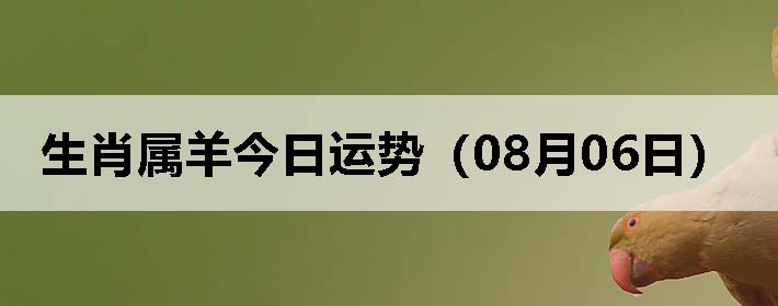 Фƣ0806գ