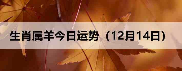 ��Ф����������ƣ�12��14�գ�