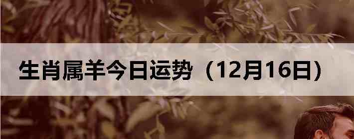 ��Ф����������ƣ�12��16�գ�