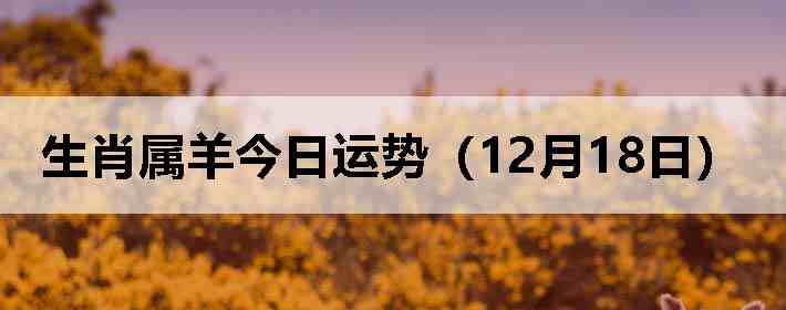 ��Ф����������ƣ�12��18�գ�