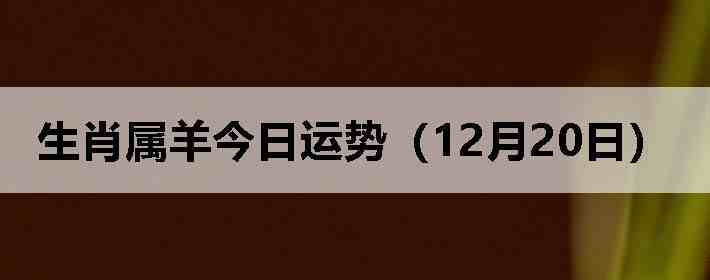 ��Ф����������ƣ�12��20�գ�