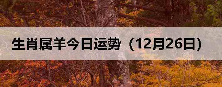 ��Ф����������ƣ�12��26�գ�