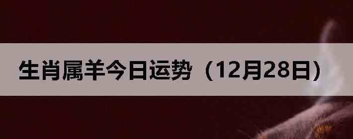 ��Ф����������ƣ�12��28�գ�