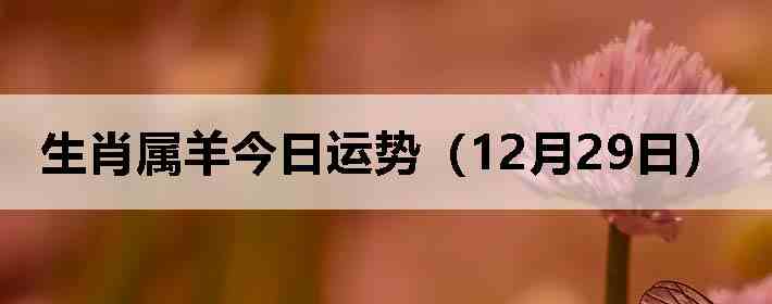 ��Ф����������ƣ�12��29�գ�