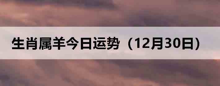 ��Ф����������ƣ�12��30�գ�