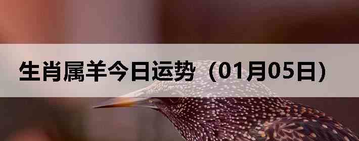 ��Ф����������ƣ�01��05�գ�