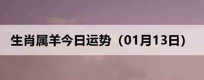 ��Ф����������ƣ�01��13�գ�