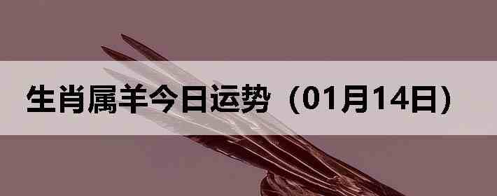 ��Ф����������ƣ�01��14�գ�