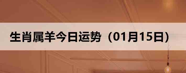 ��Ф����������ƣ�01��15�գ�