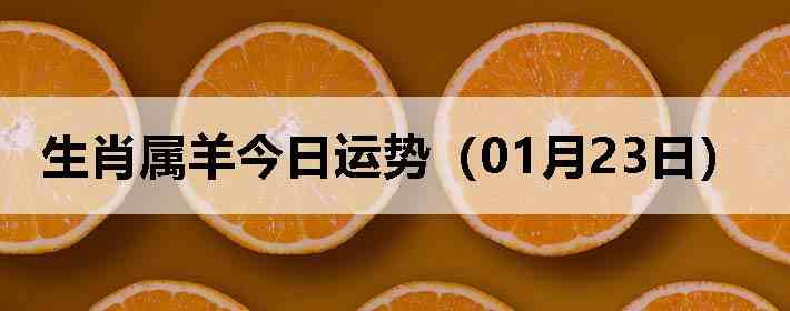 ��Ф����������ƣ�01��23�գ�