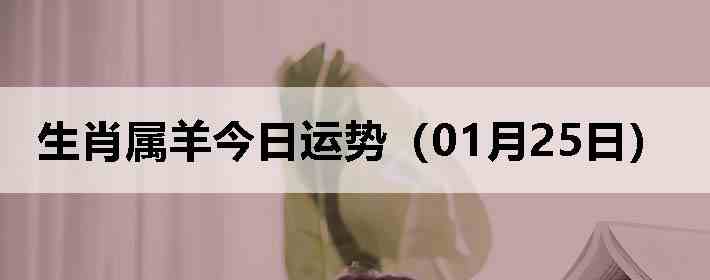 ��Ф����������ƣ�01��25�գ�