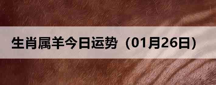 ��Ф����������ƣ�01��26�գ�