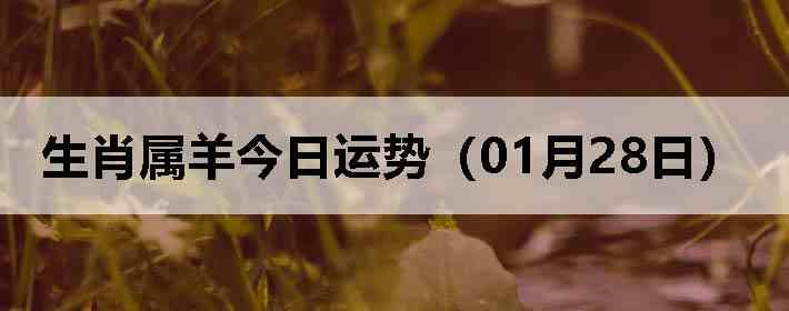 ��Ф����������ƣ�01��28�գ�