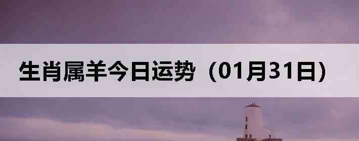 ��Ф����������ƣ�01��31�գ�