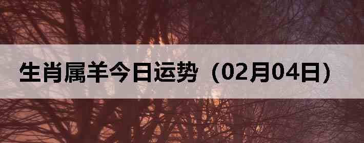 ��Ф����������ƣ�02��04�գ�