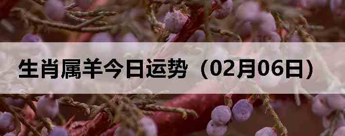 ��Ф����������ƣ�02��06�գ�