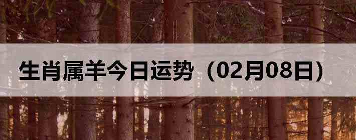 ��Ф����������ƣ�02��08�գ�