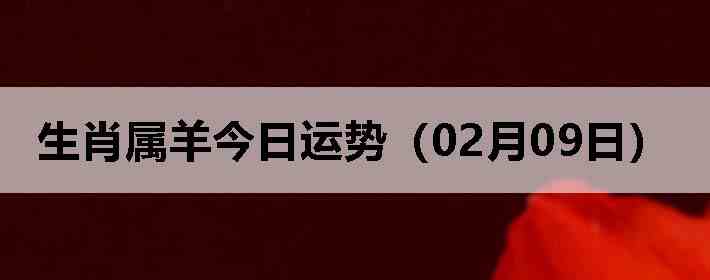 ��Ф����������ƣ�02��09�գ�