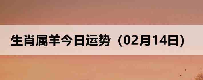 ��Ф����������ƣ�02��14�գ�