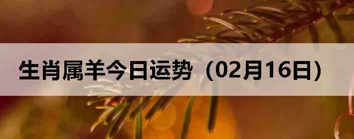 ��Ф����������ƣ�02��16�գ�