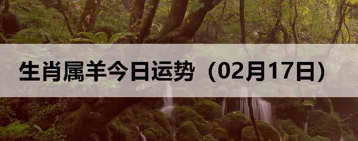 ��Ф����������ƣ�02��17�գ�